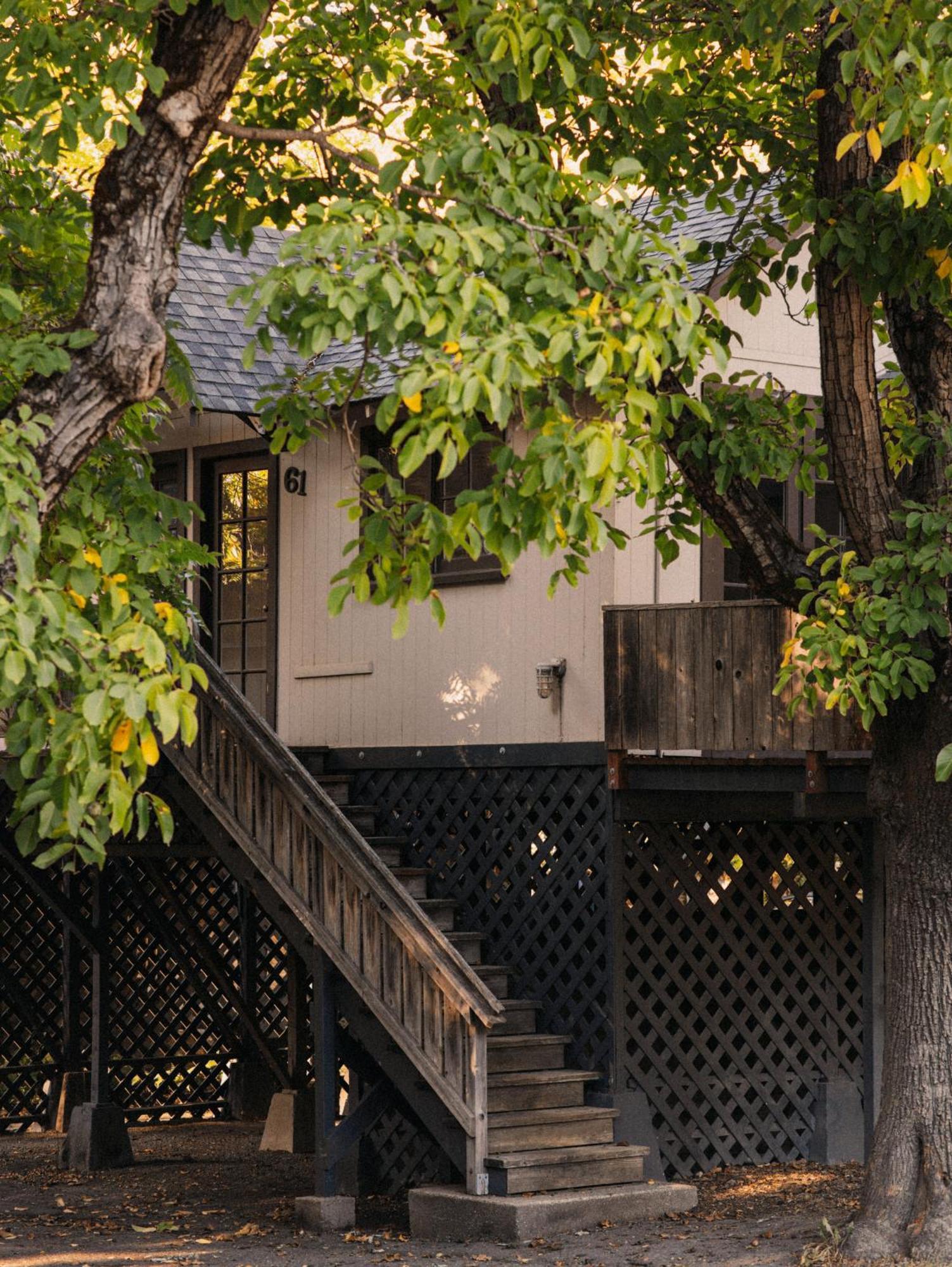 Johnson'S Beach Cabins And Campground Guerneville Exterior foto